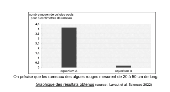 Schéma de l'expérience Schéma de l'expérience